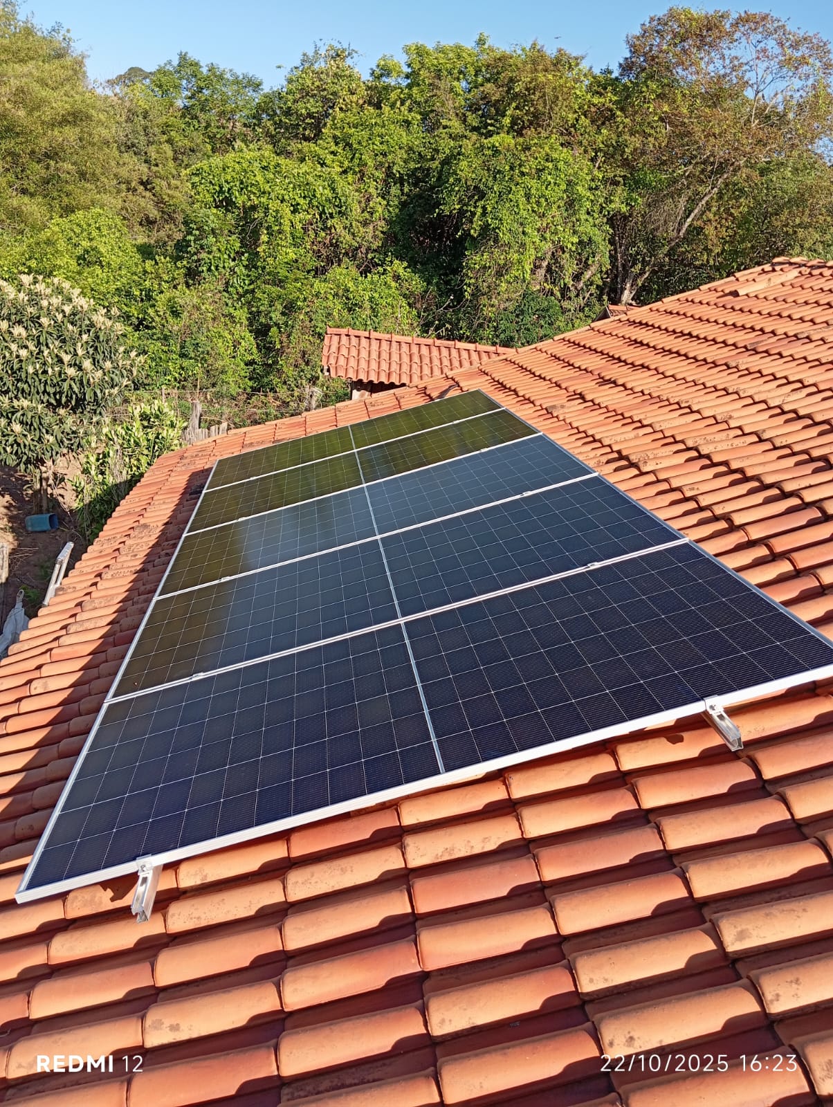 Painéis solares próximos com vegetação